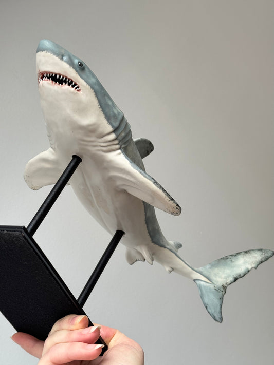 Great White Shark