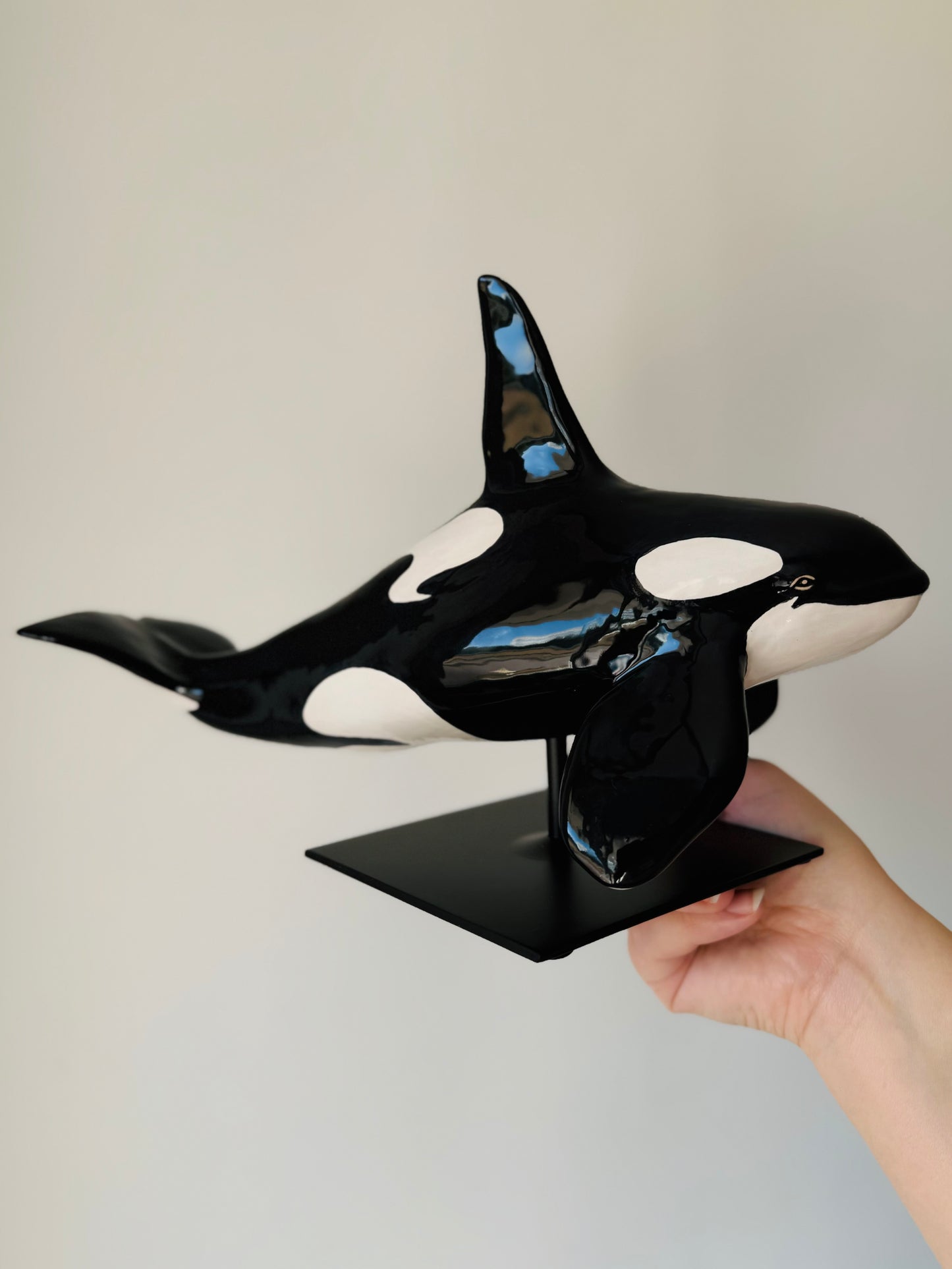 Male Orca on a stand