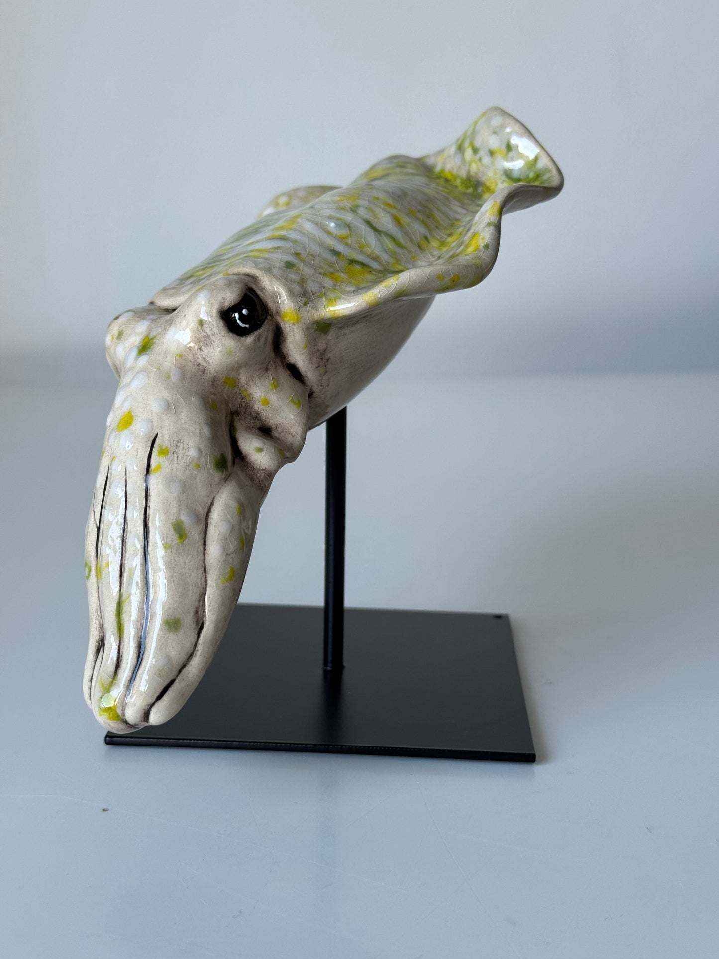 Cuttlefish