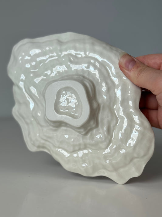 Shell-shaped plate