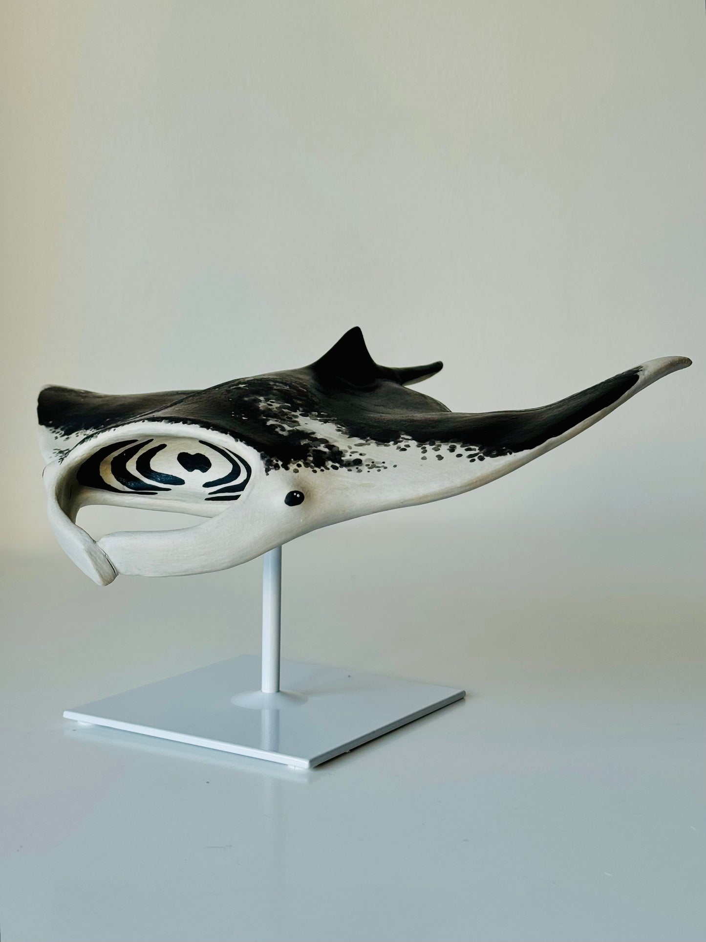 Big Manta Ray