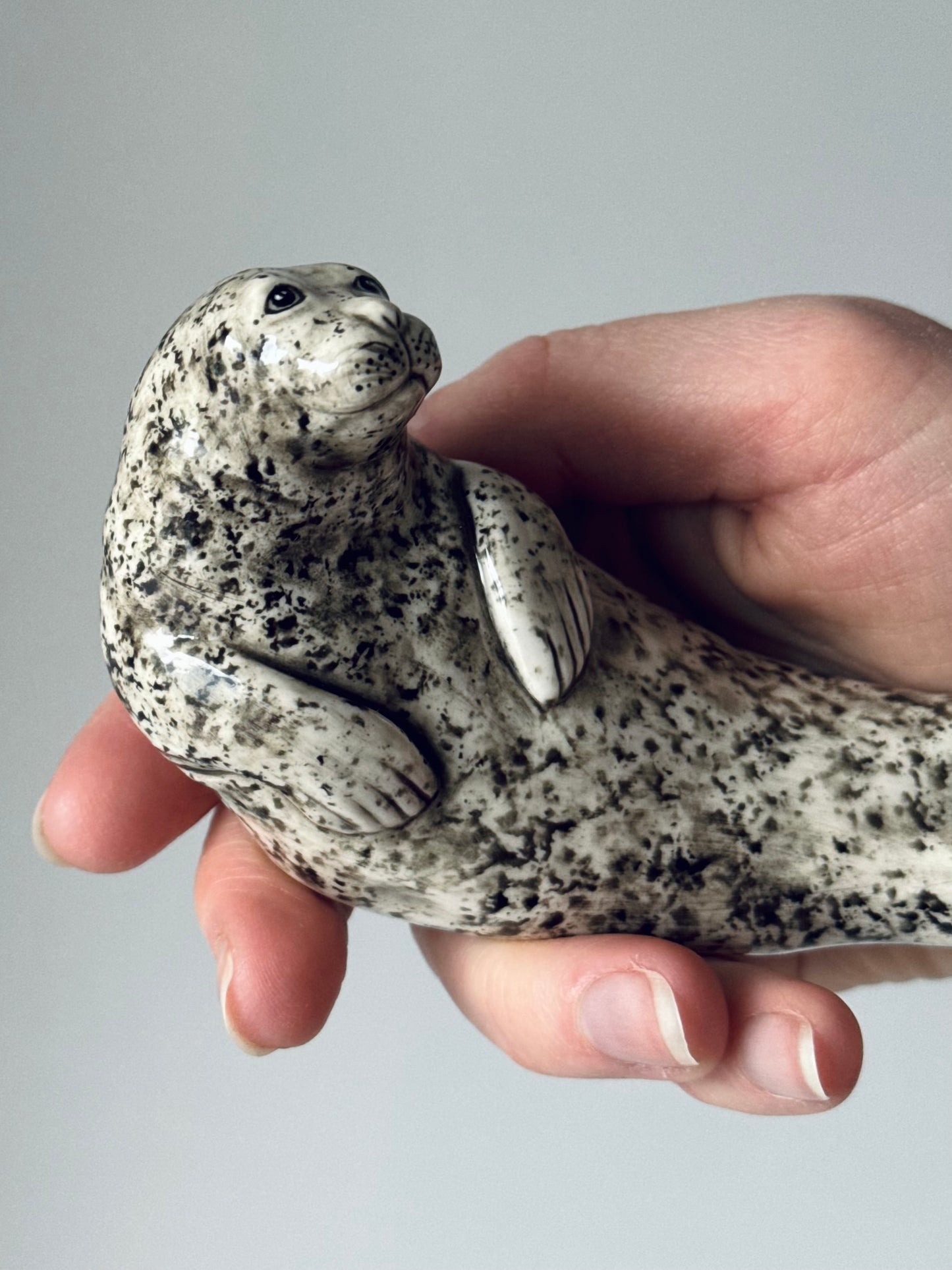 Seal