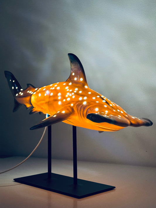 Hammerhead Shark Lamp
