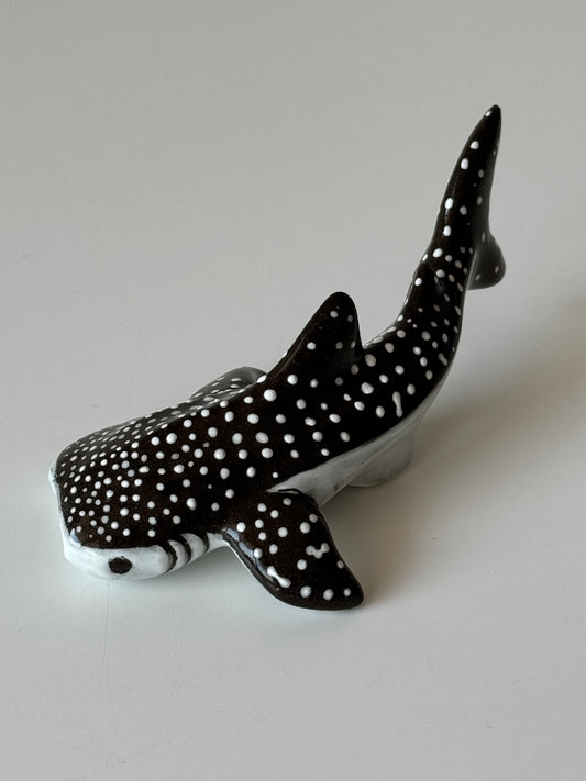 Baby Whale Shark