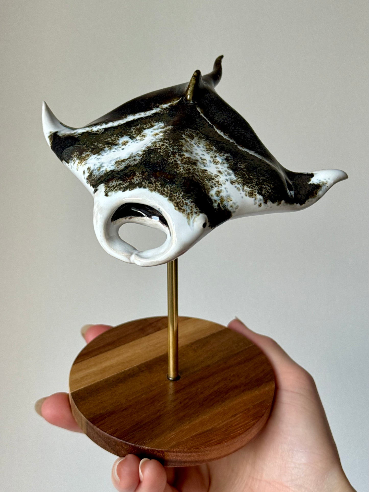 Manta Ray