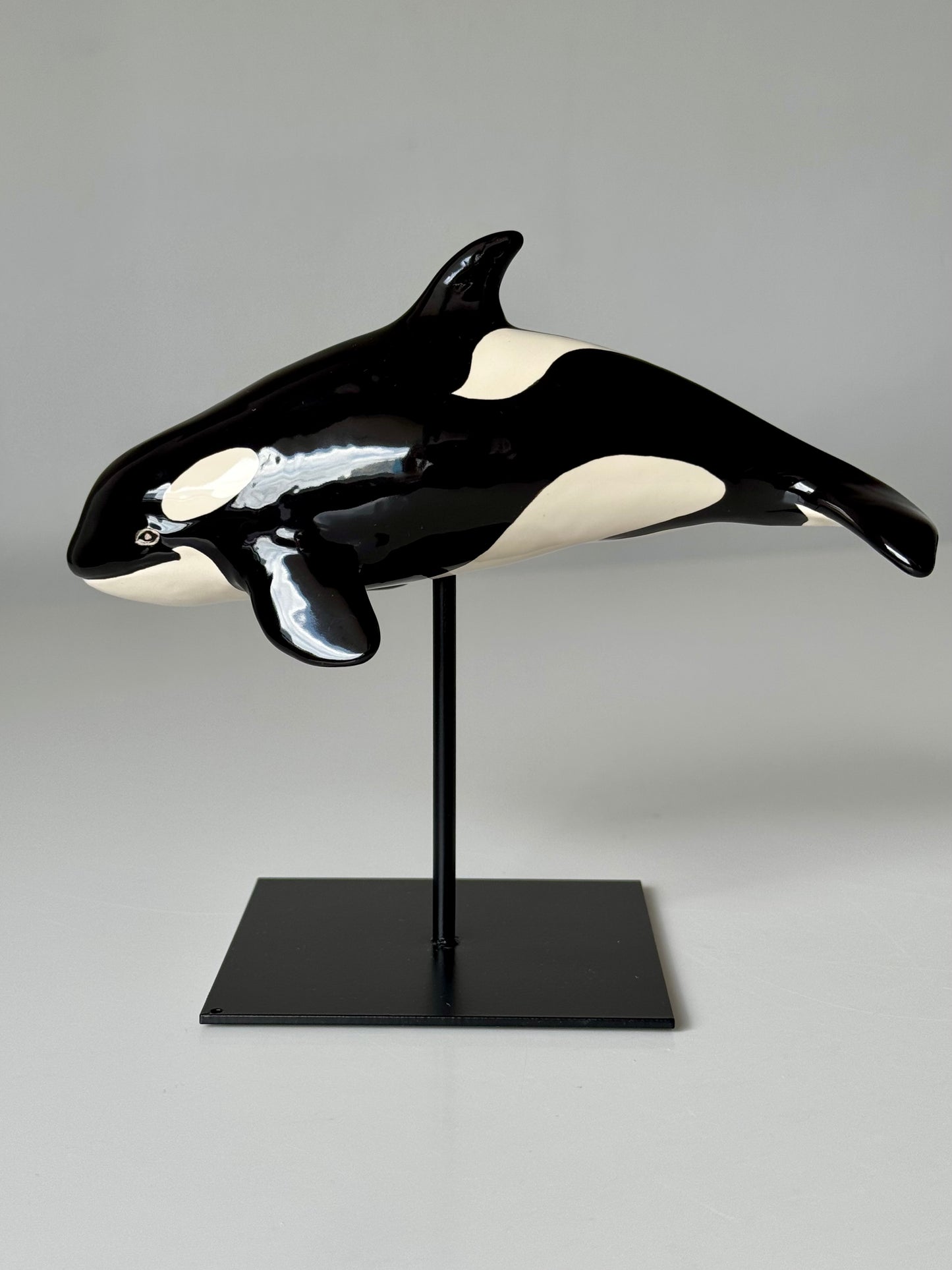 Baby Orca