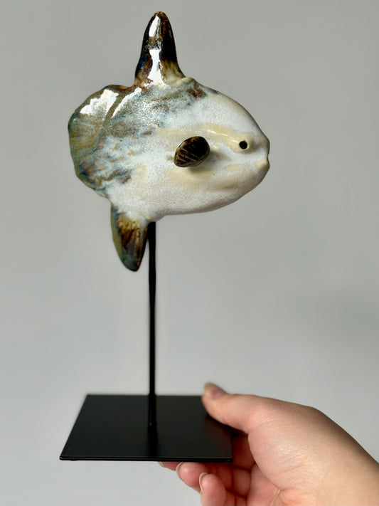 Mola Mola on a metal stand