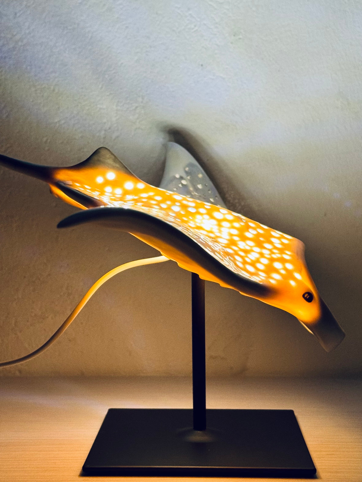 Big Manta Ray