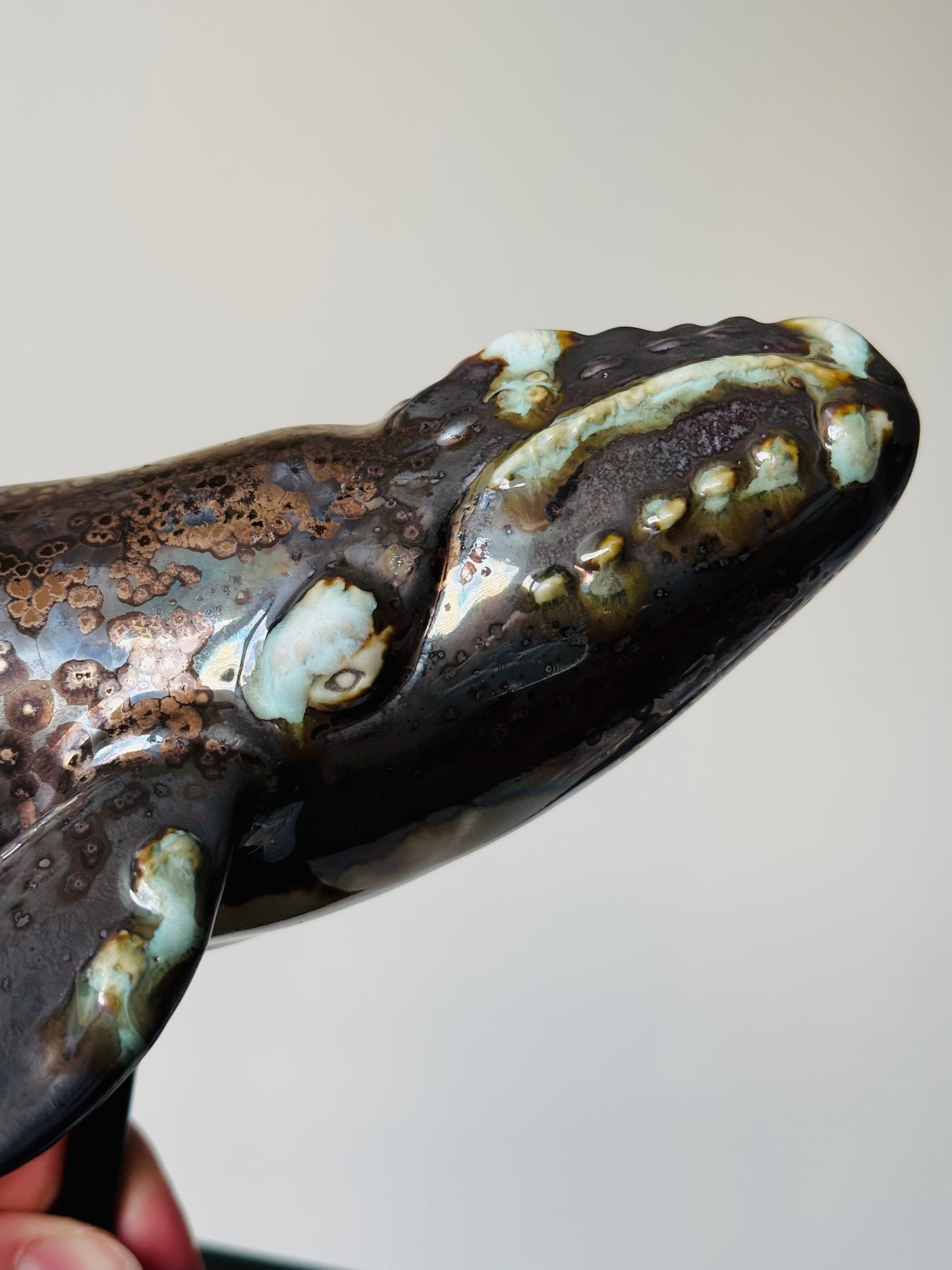 Right Whale on a metal stand