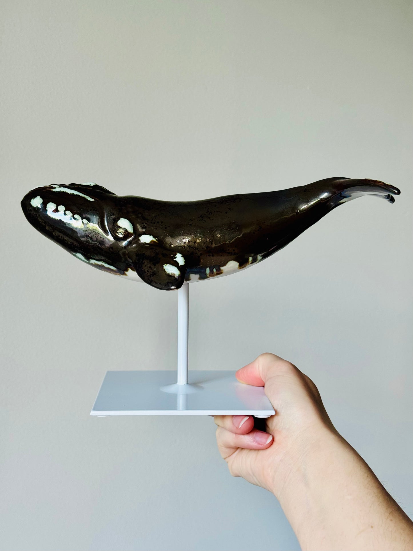 Right Whale
