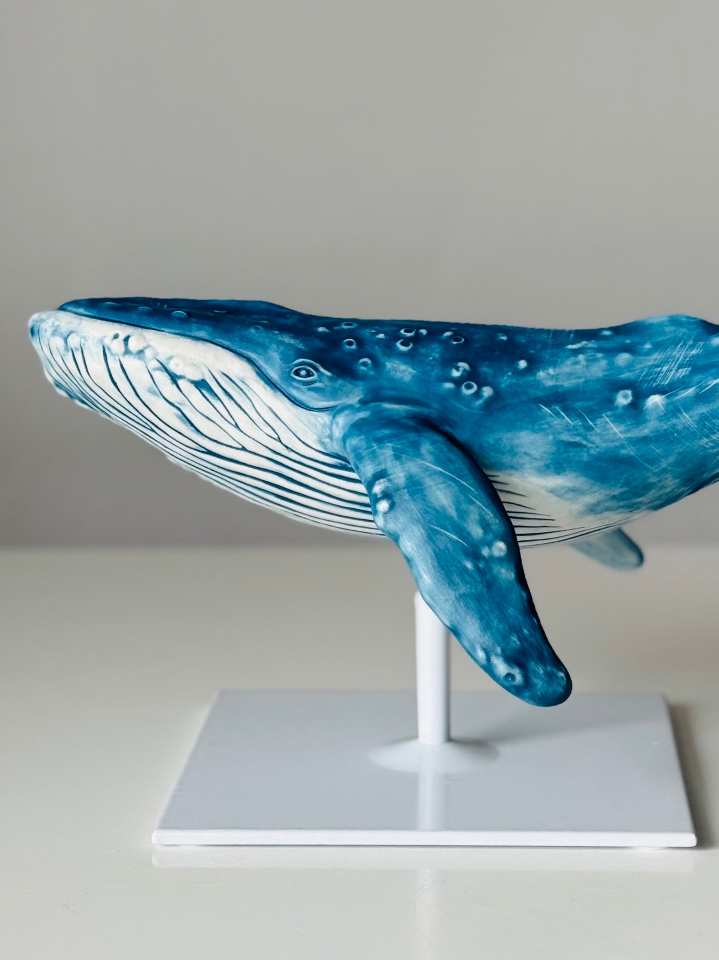 Porcelain Humpback Whale