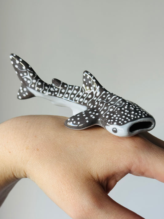 Baby Whale Shark
