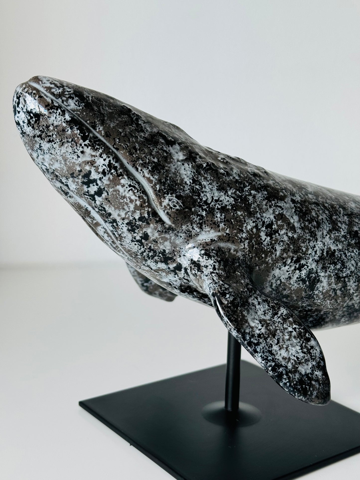 Gray whale on a stand