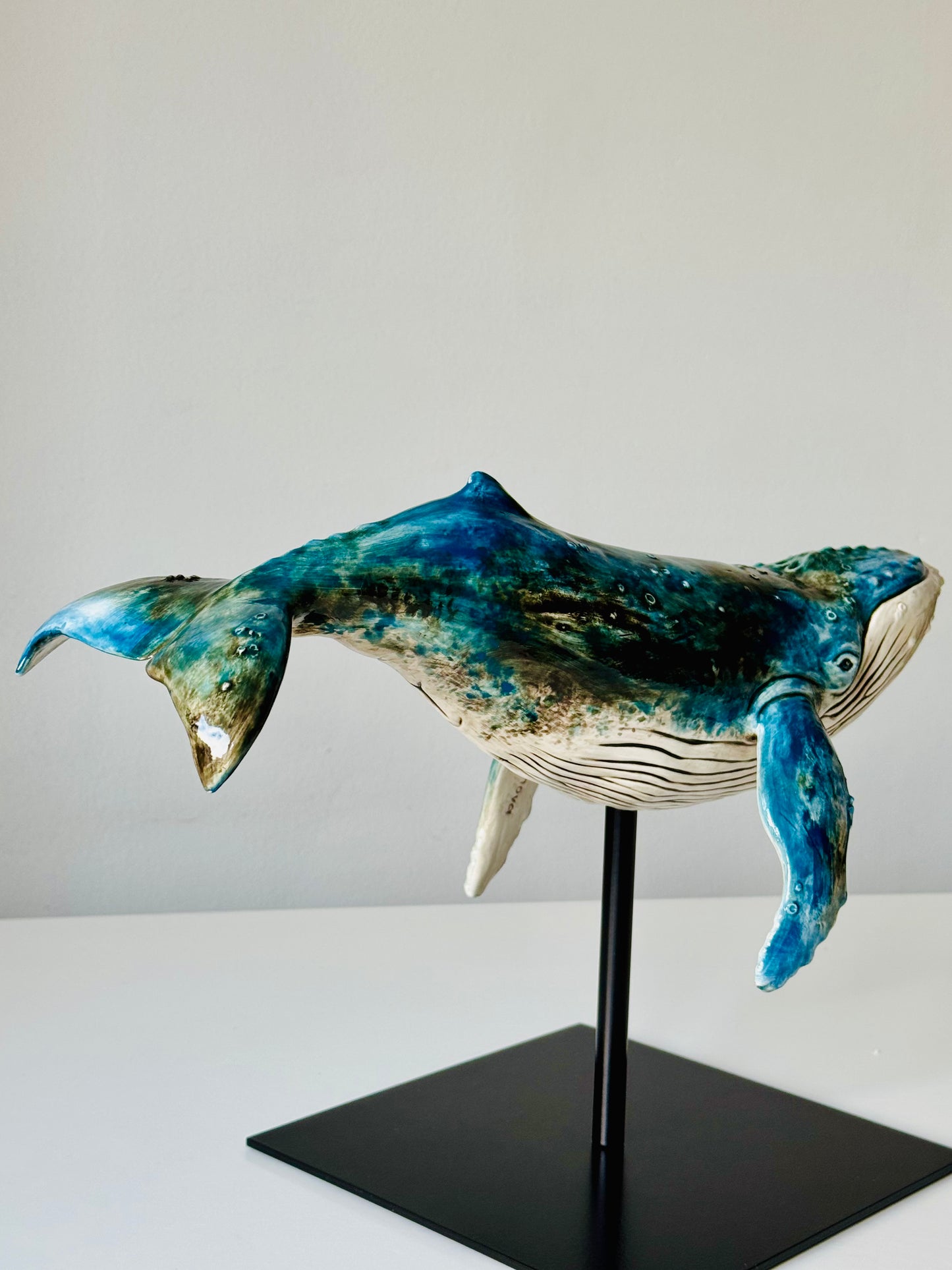 Big Humpback Whale