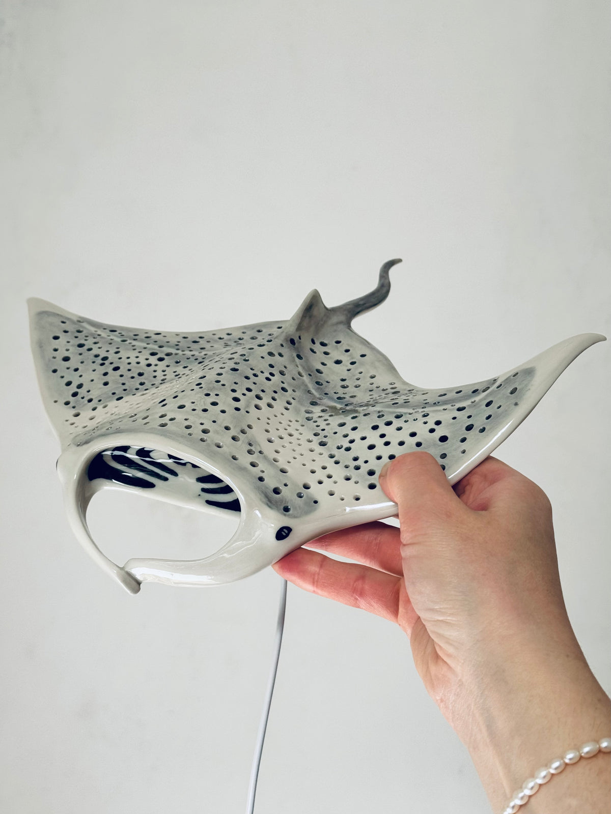 Big Manta Ray