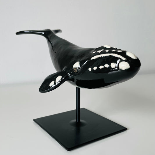 Right Whale on a metal stand