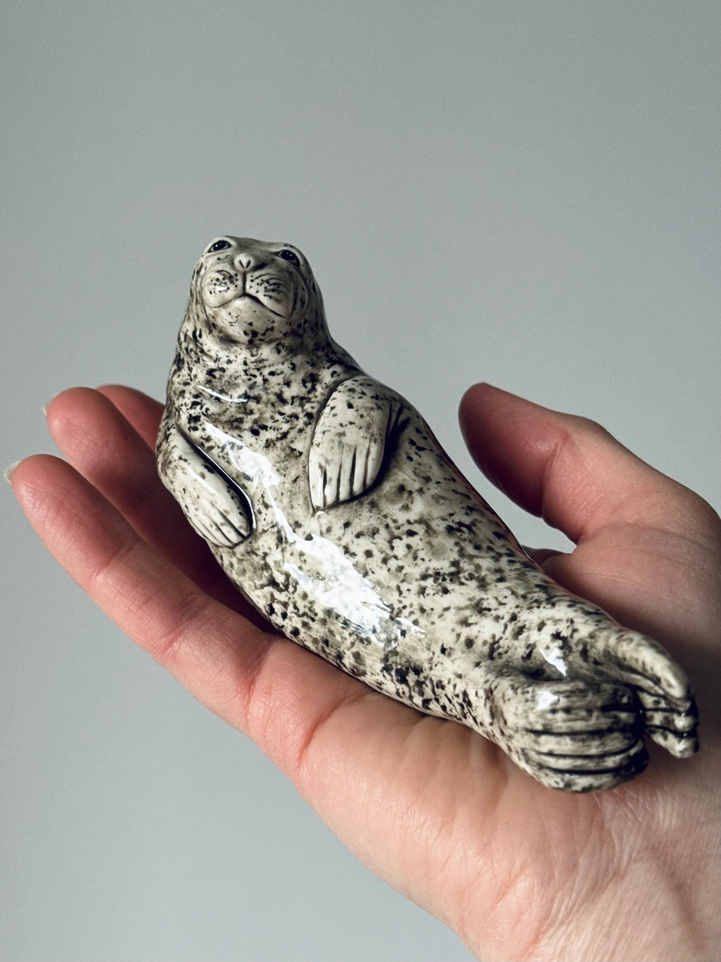 Seal