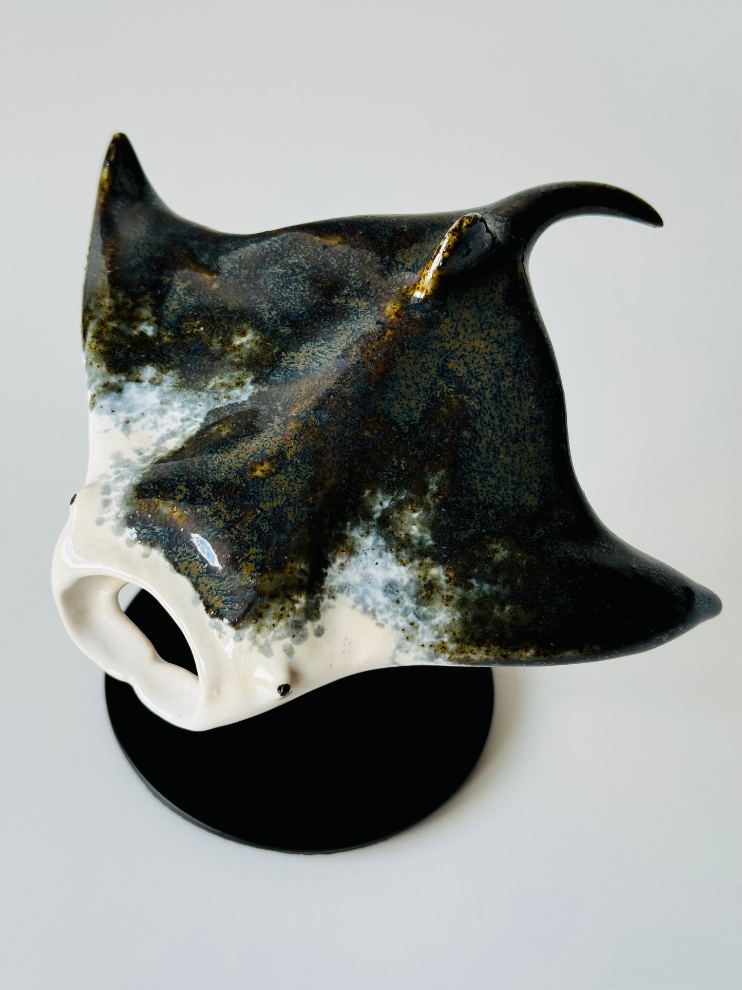 Manta Ray on a stand