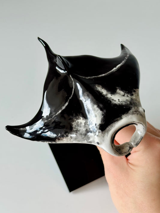 Manta Ray