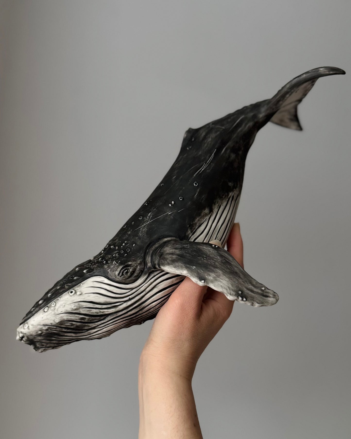 Big Humpback Whale