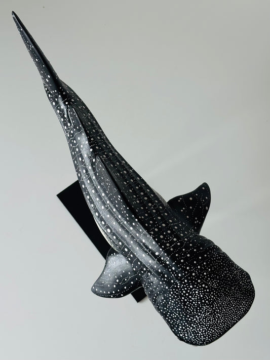 Whale Shark