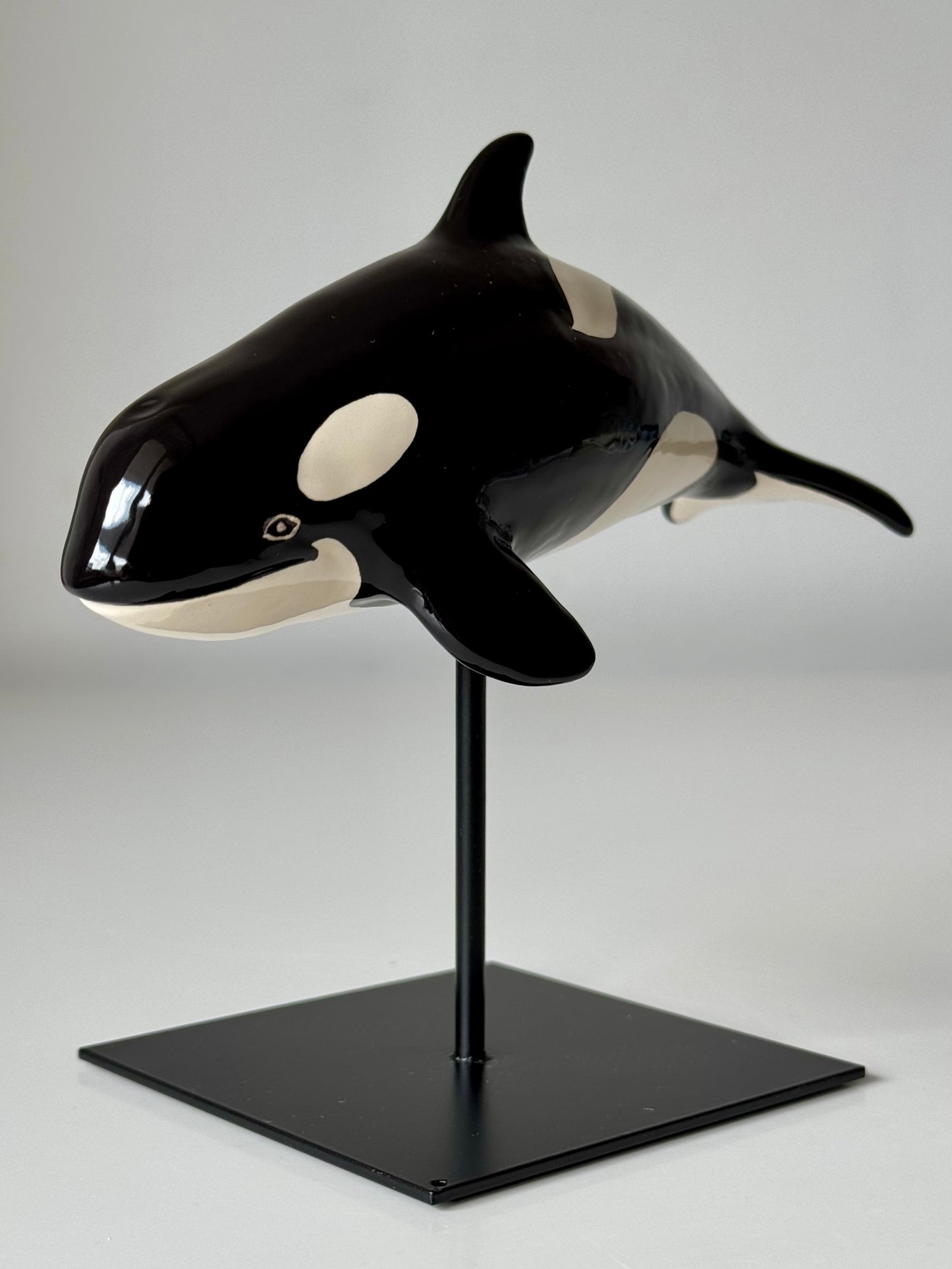 Baby Orca