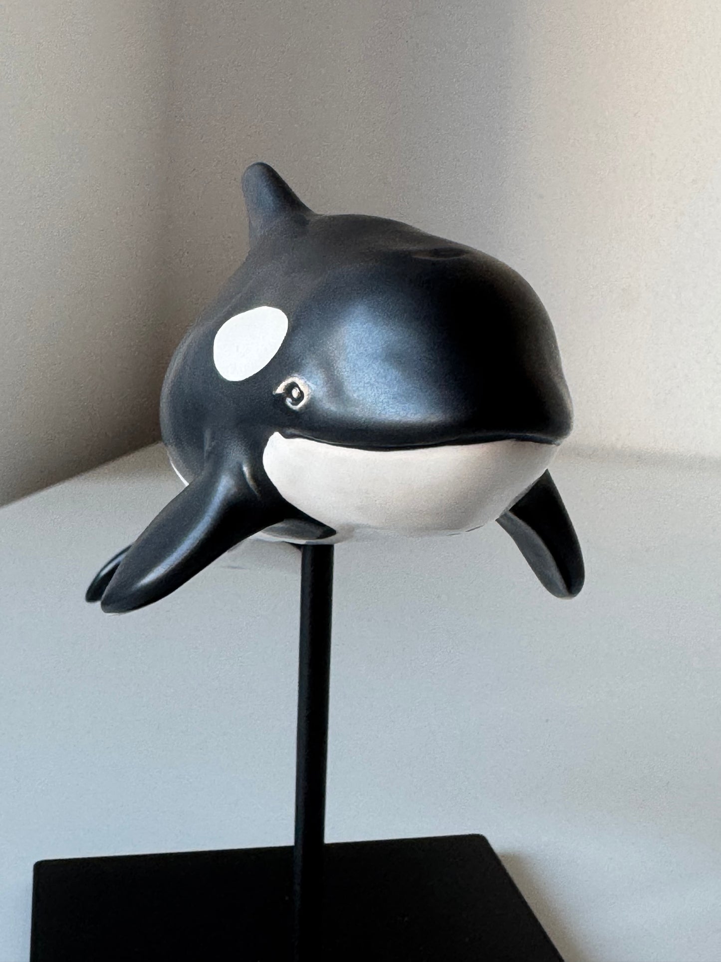 Baby Orca