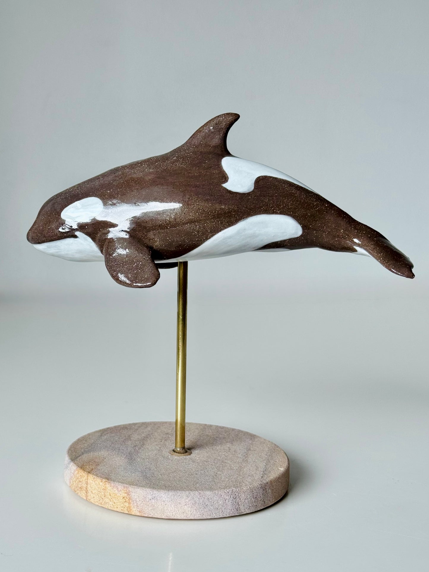 Baby Orca