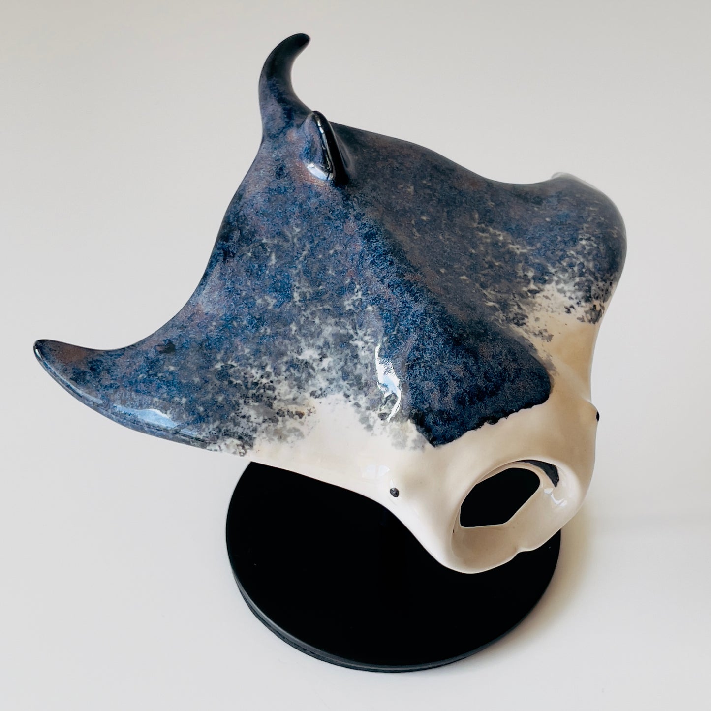 Manta Ray on a stand