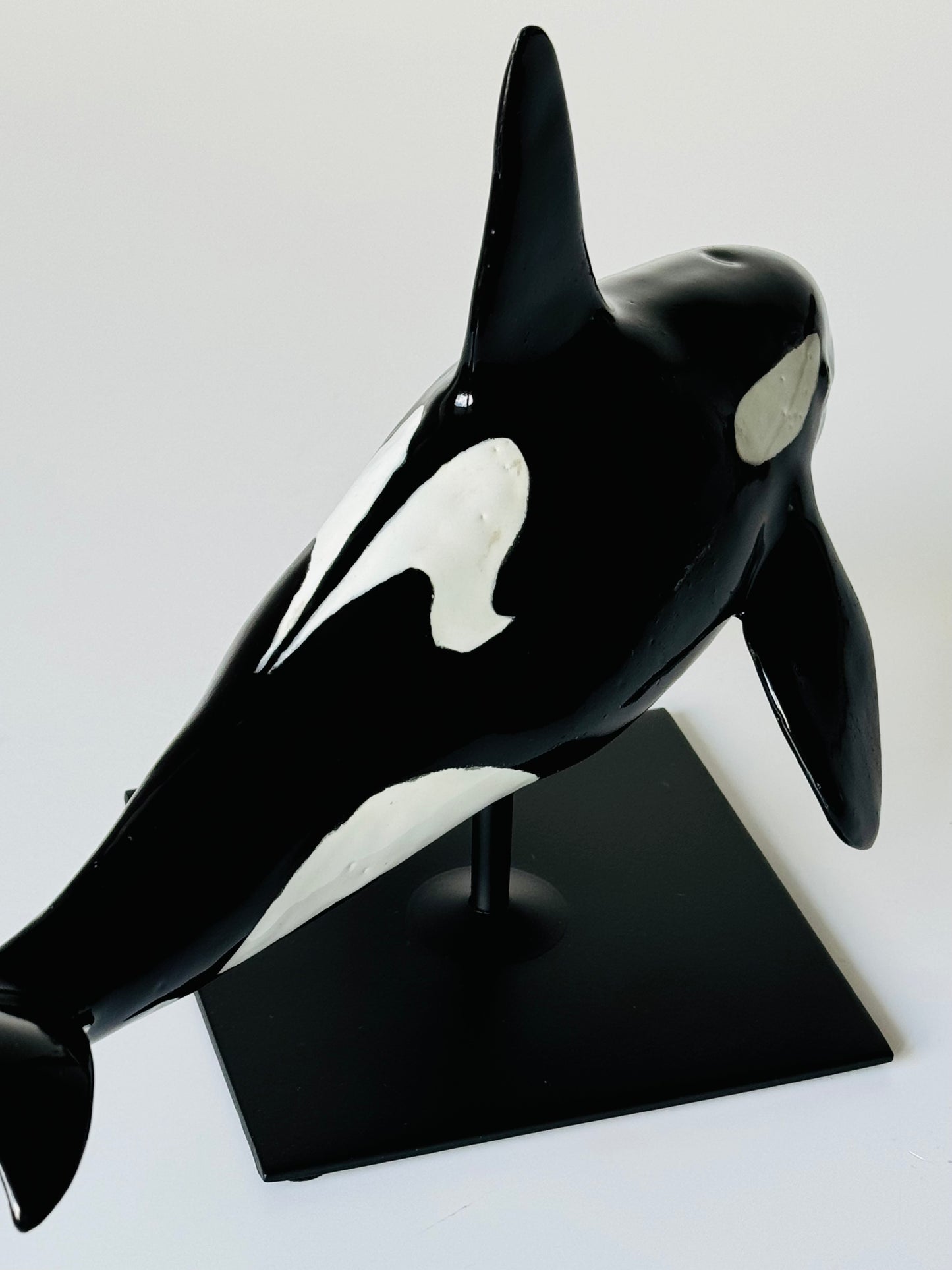 Male Orca on a stand