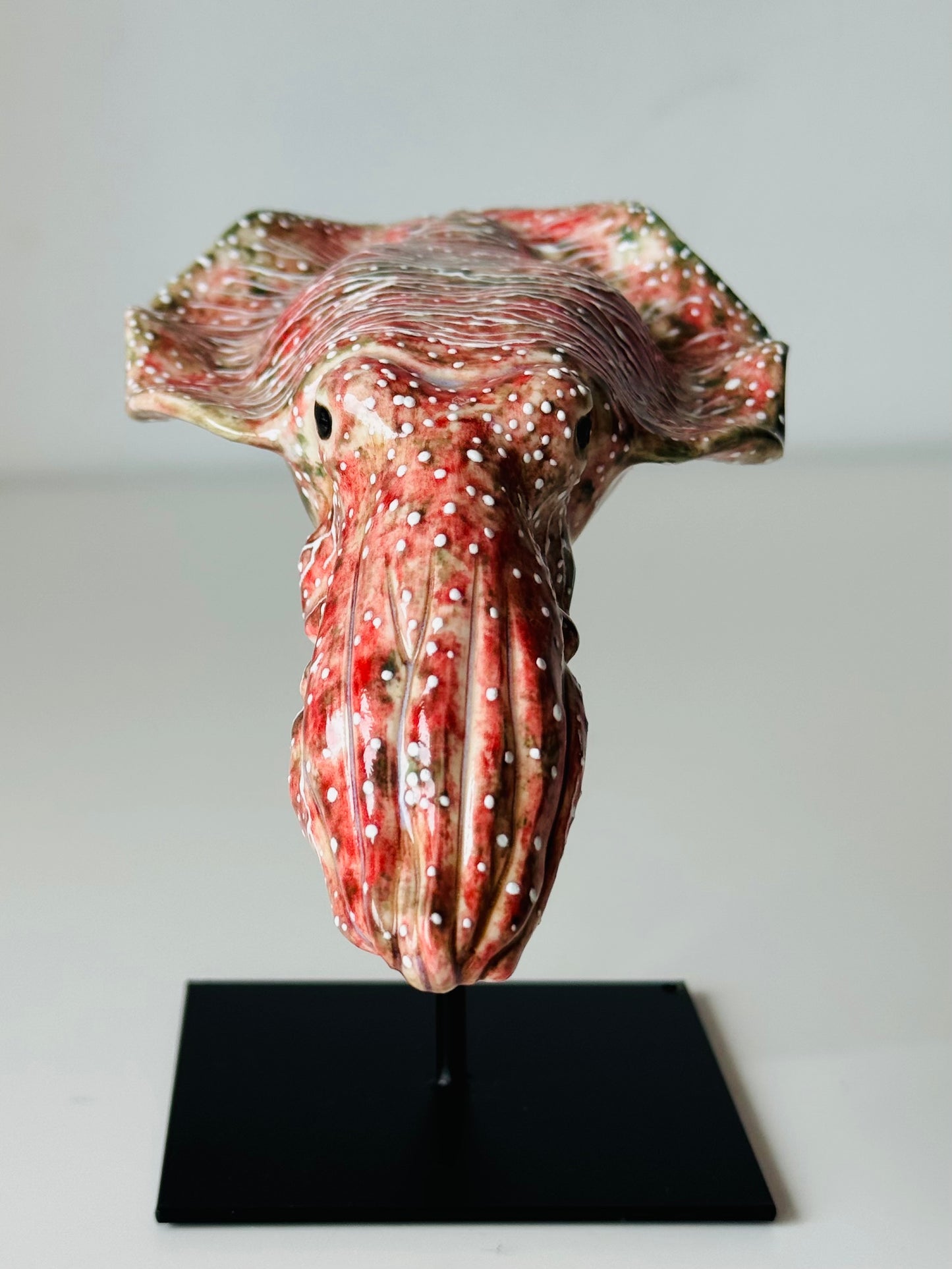 Cuttlefish