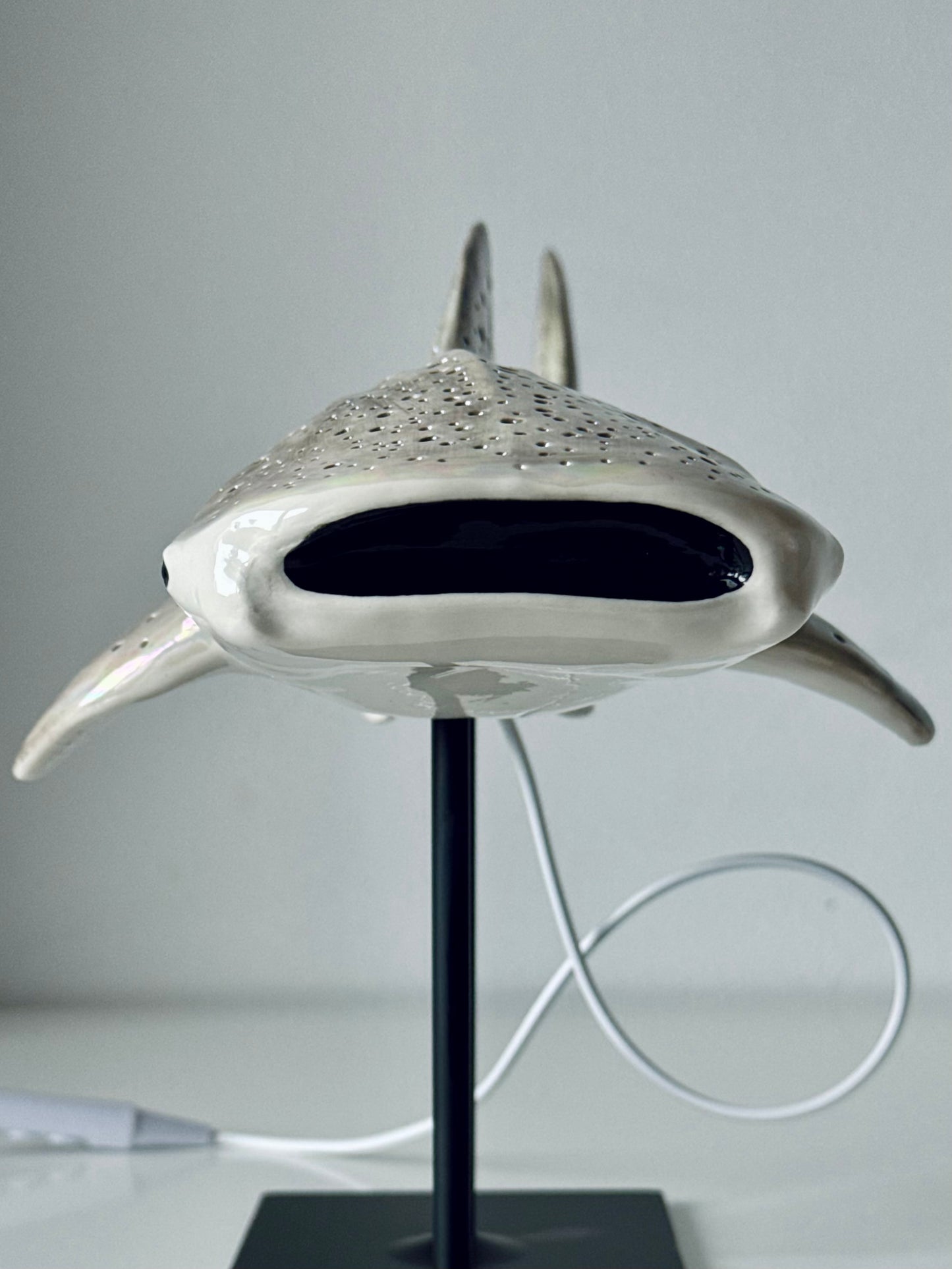 Shark Lamp