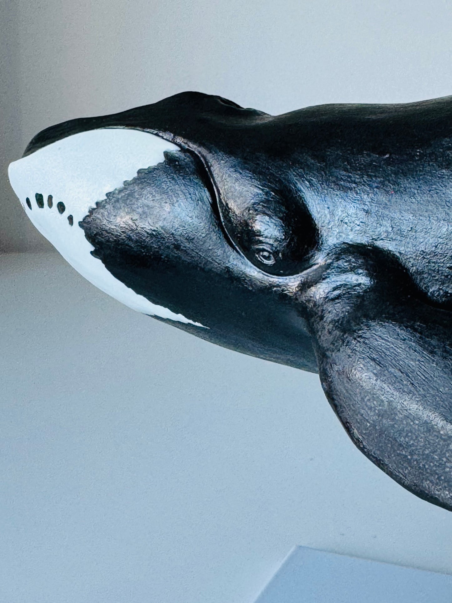 Bowhead Whale