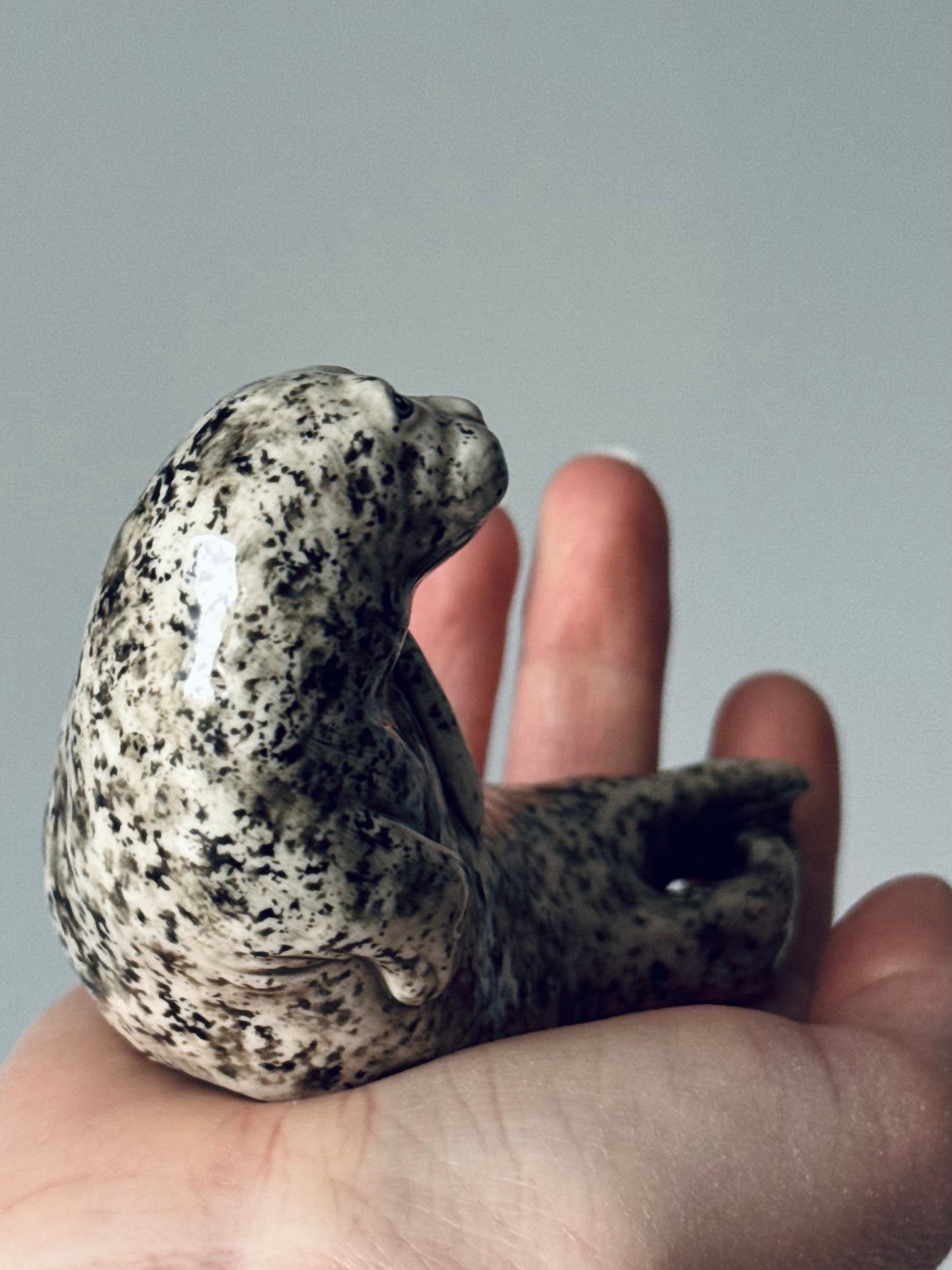 Seal