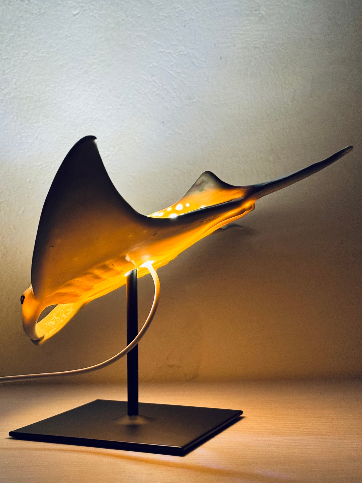 Big Manta Ray