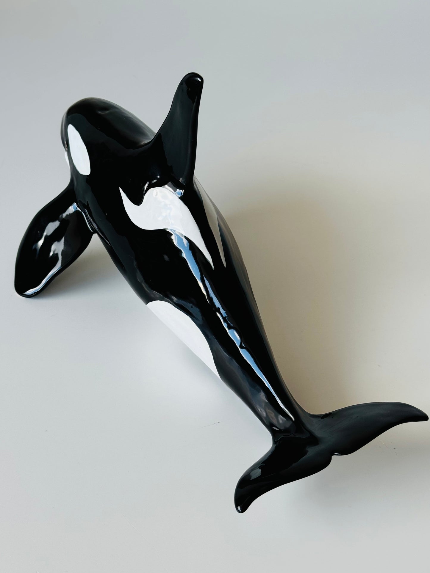 Male Orca