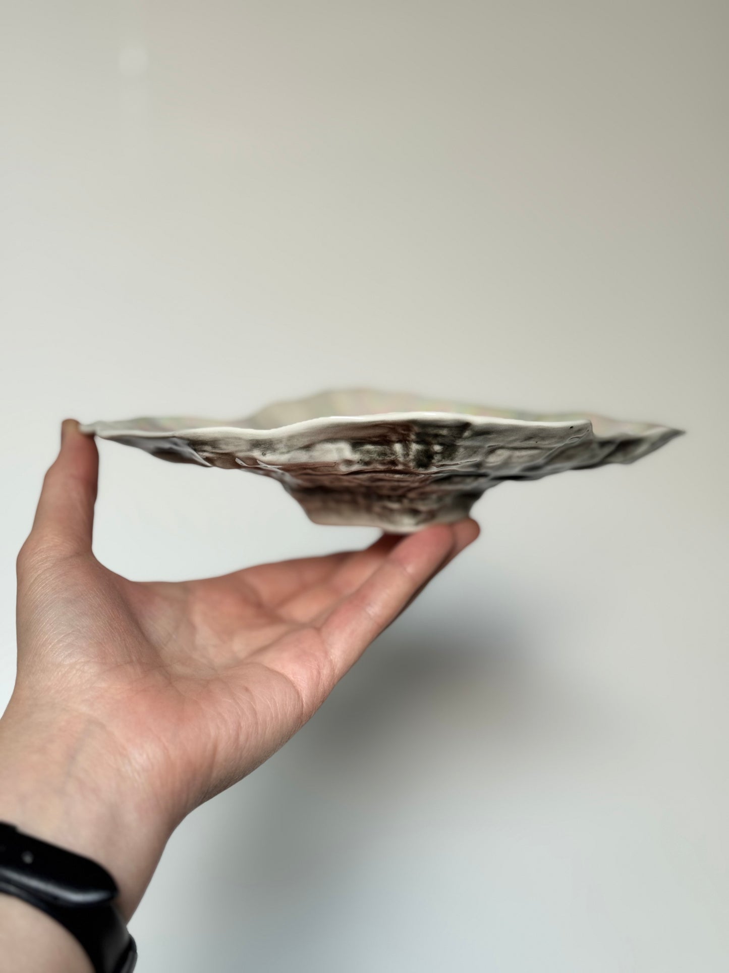 Shell-shaped plate