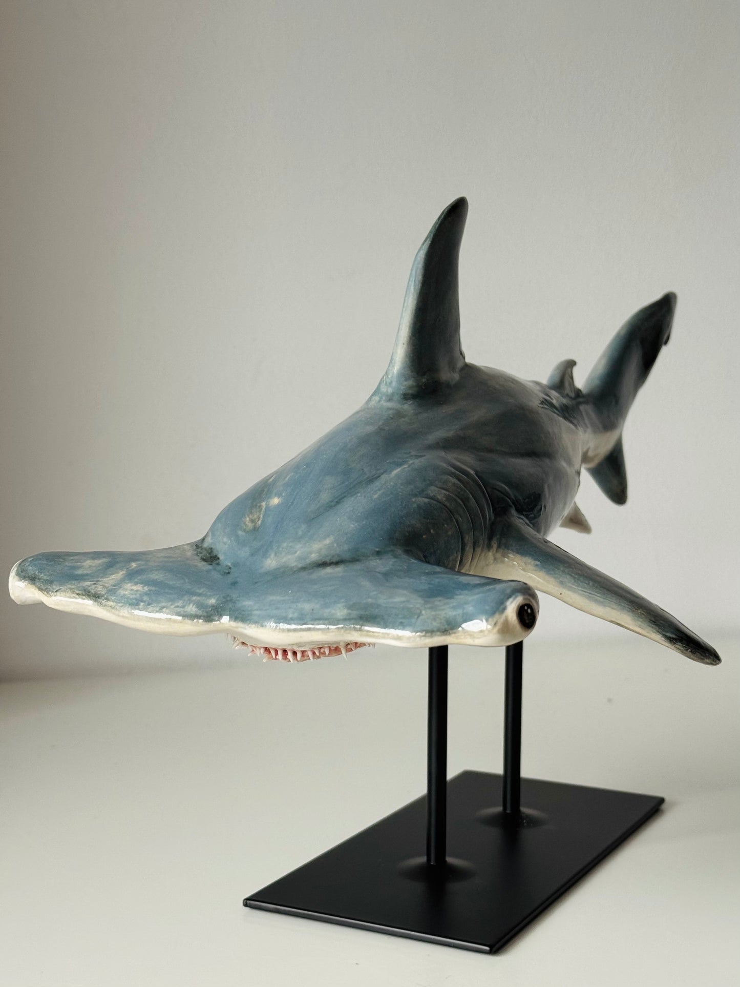 Hammerhead Shark