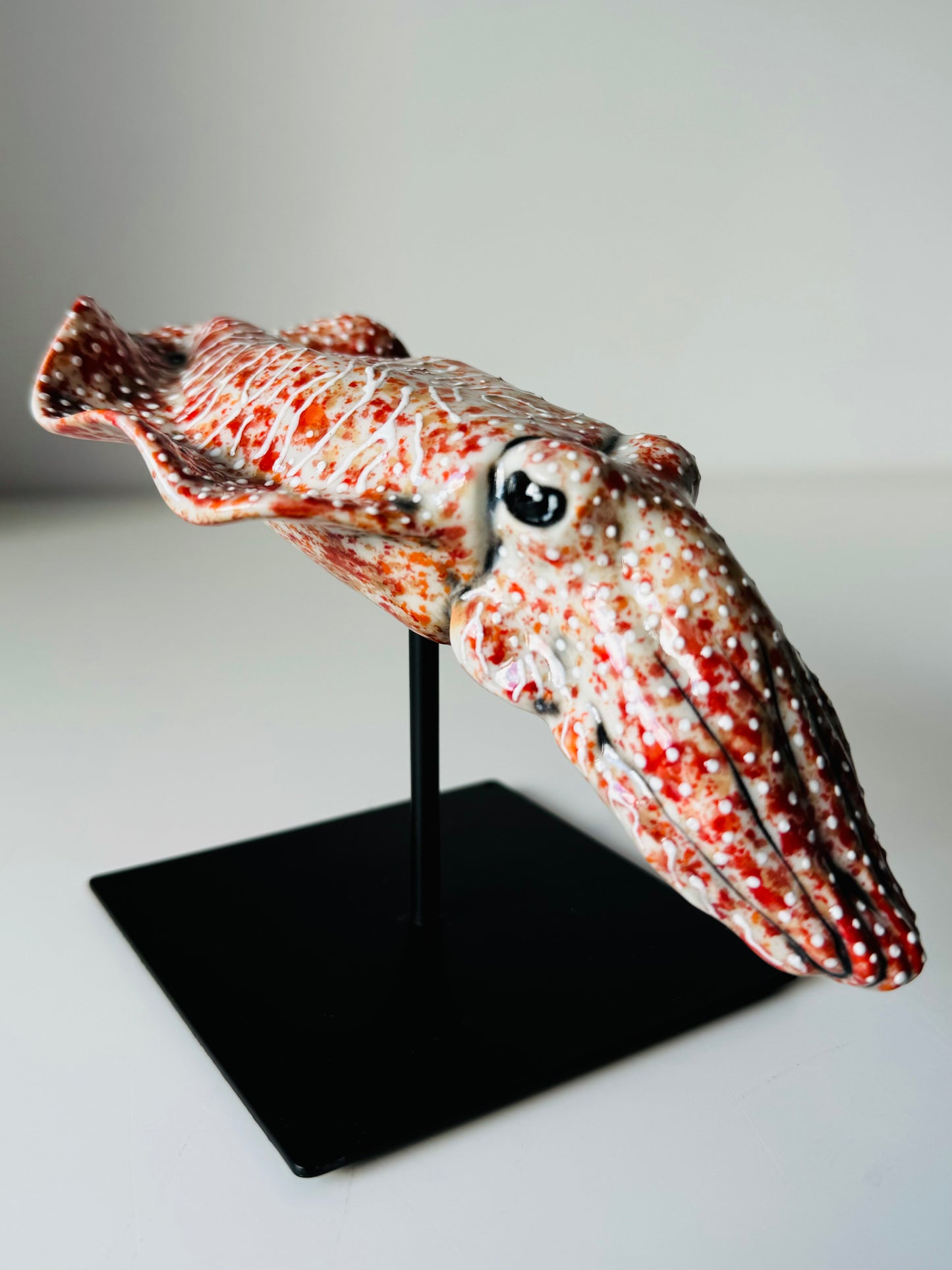 Cuttlefish