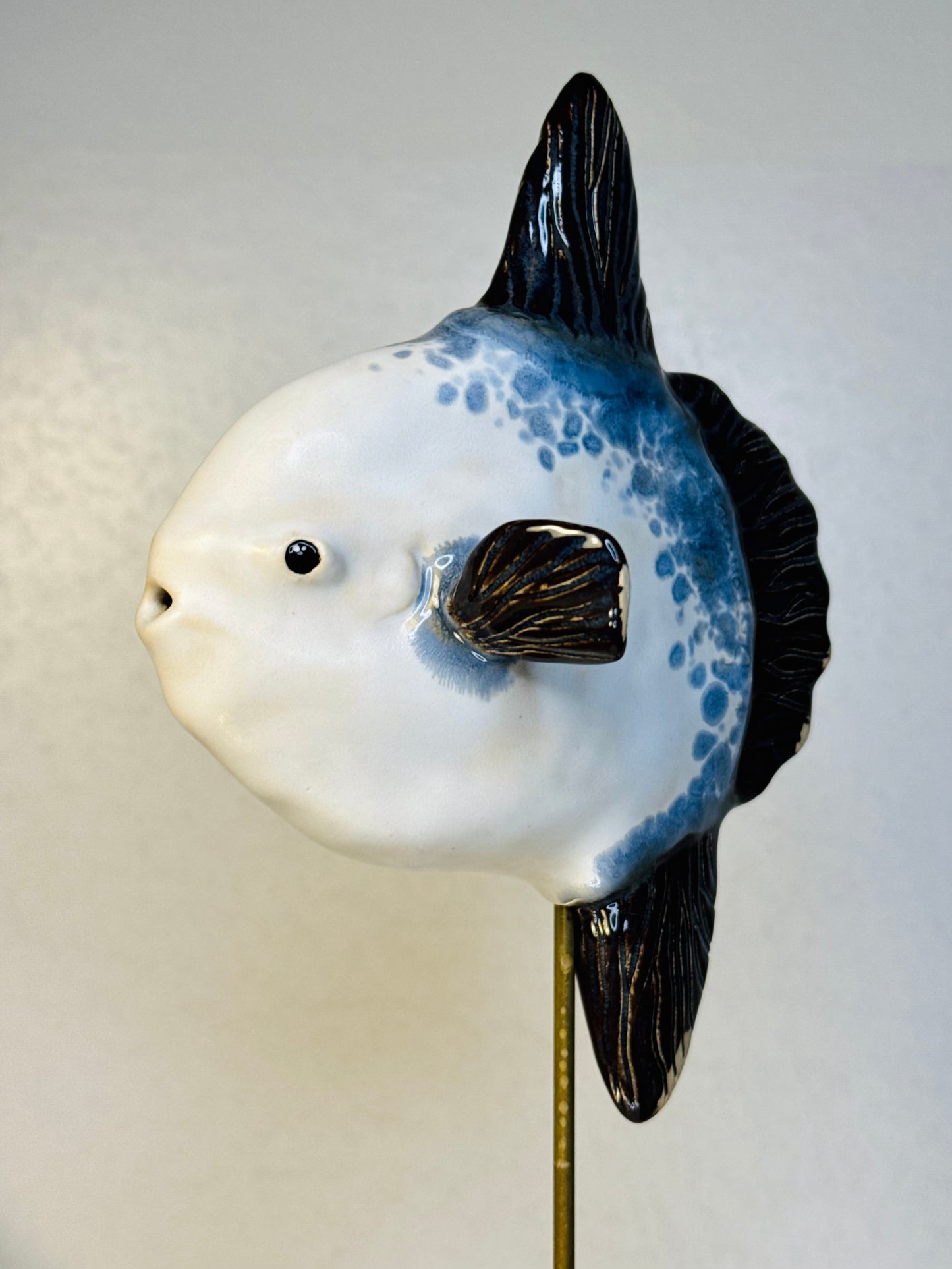Mola Mola