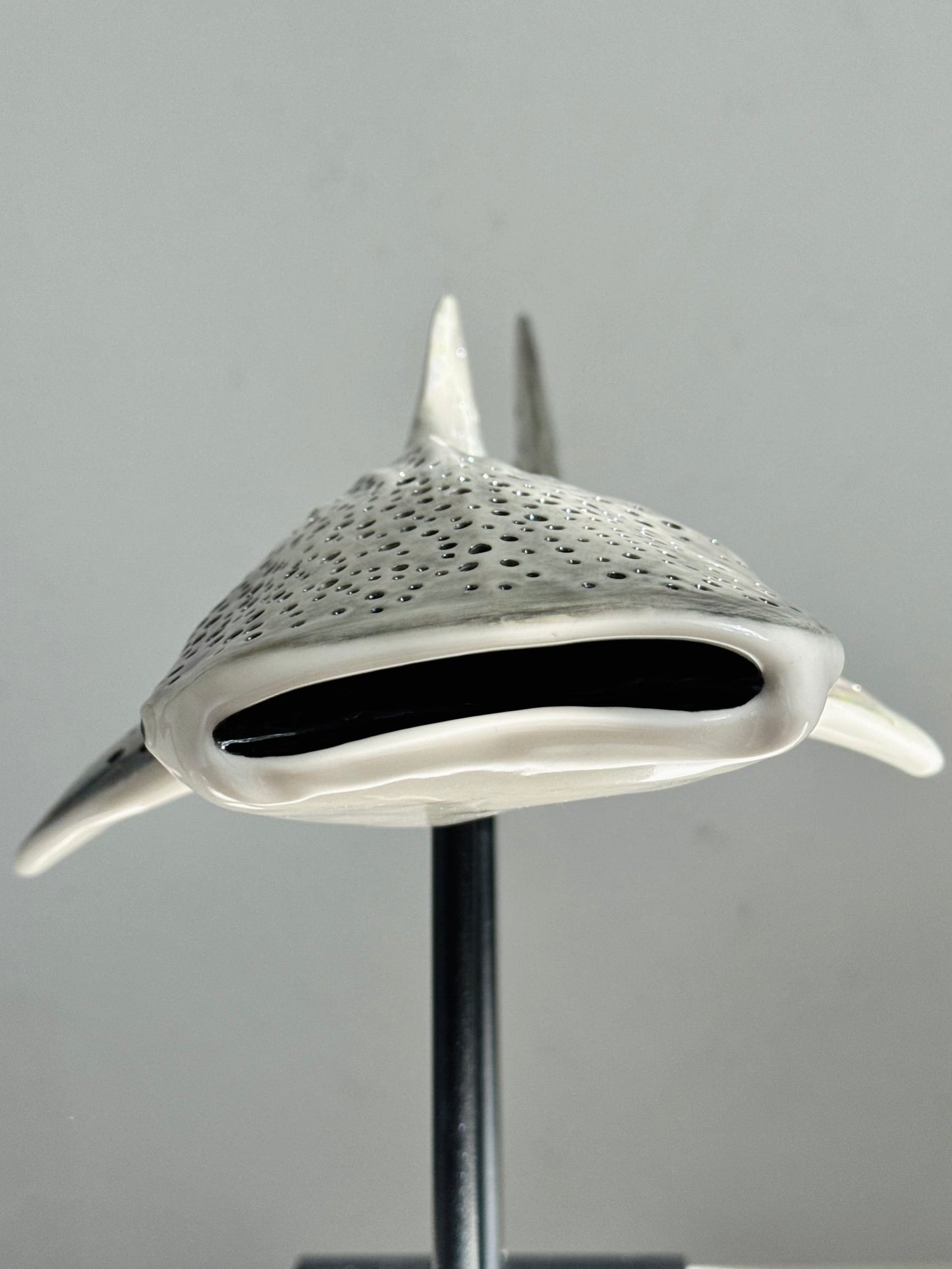 Whale Shark Lamp