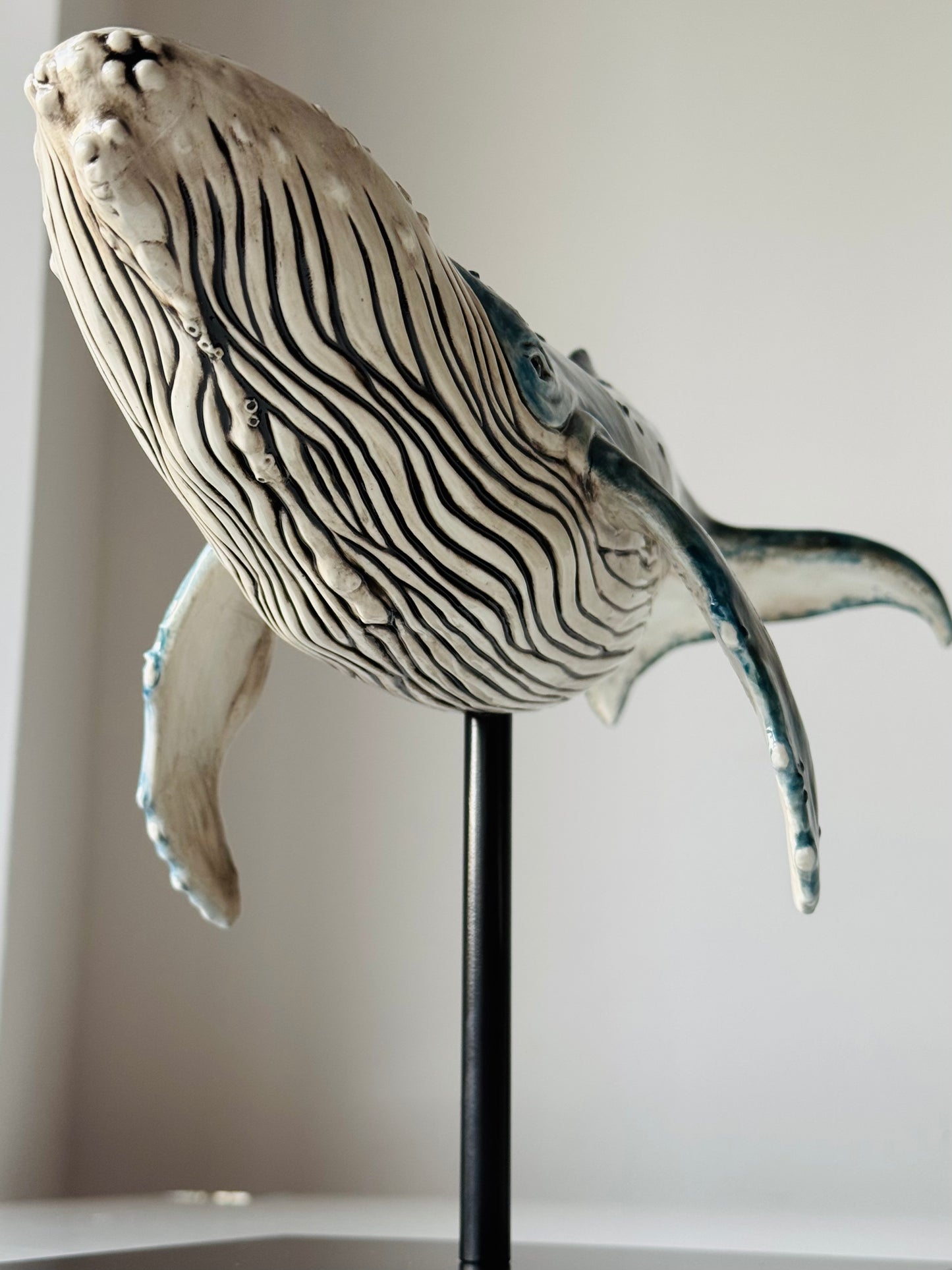 Big Humpback Whale