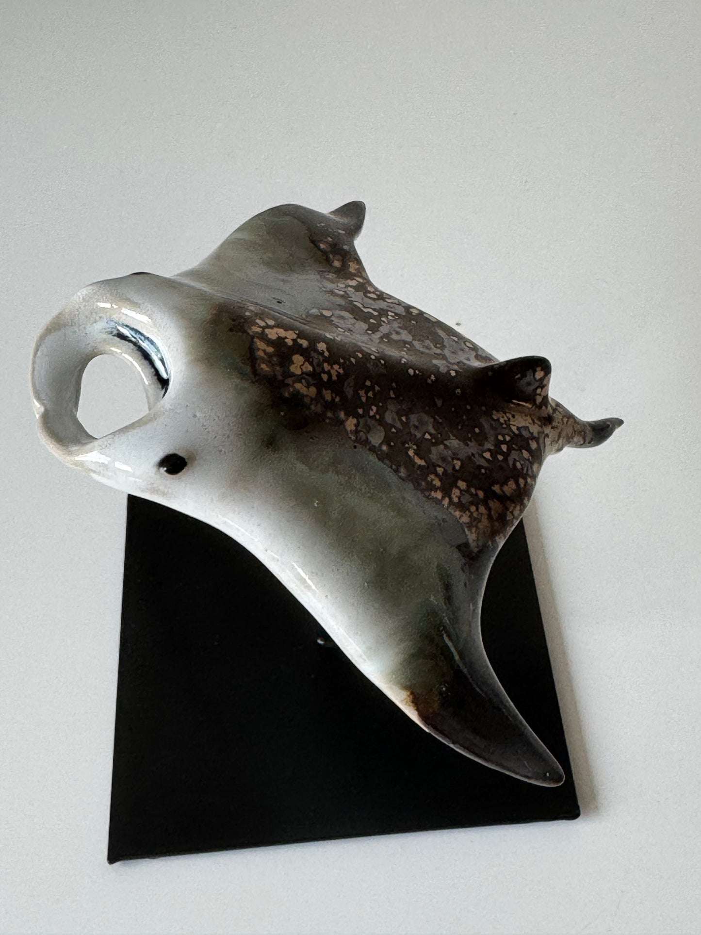 Manta Ray on a stand