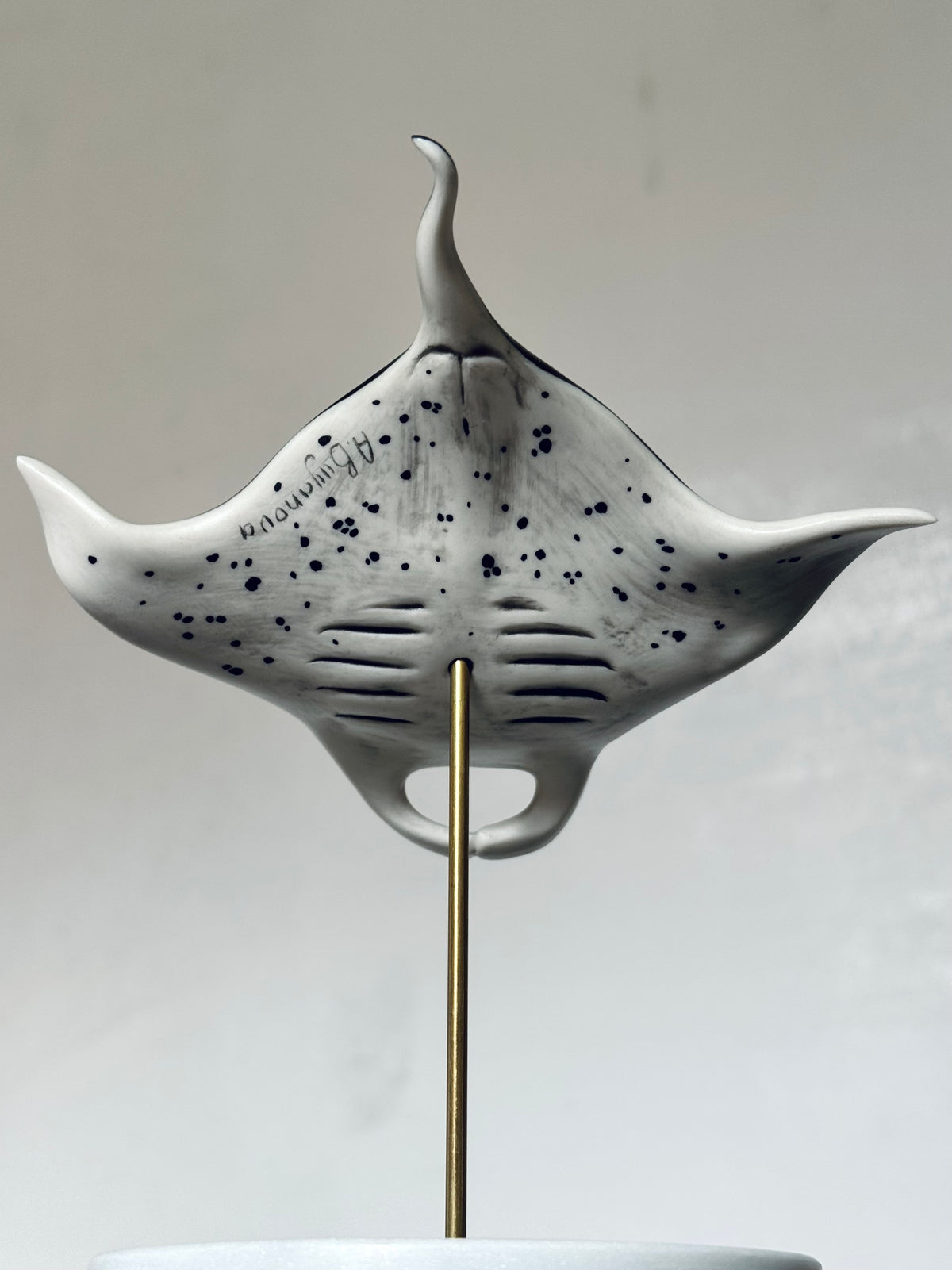 Manta Ray