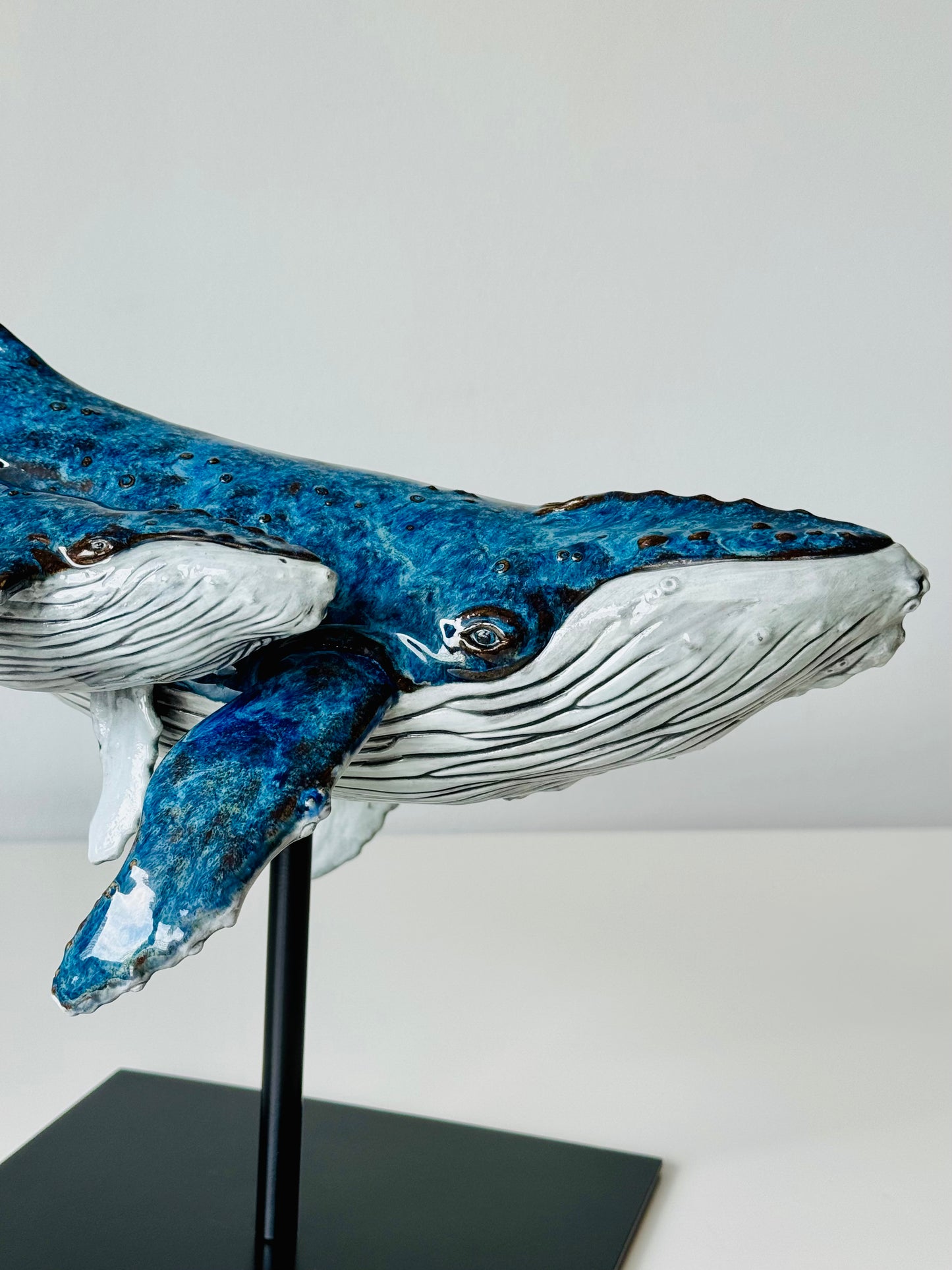 Big Humpback Whale (Mother and Calf)