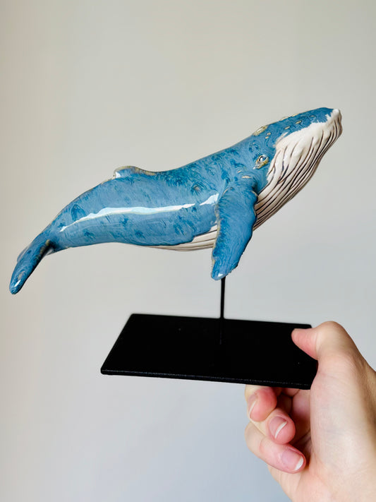Baby Humpback Whale
