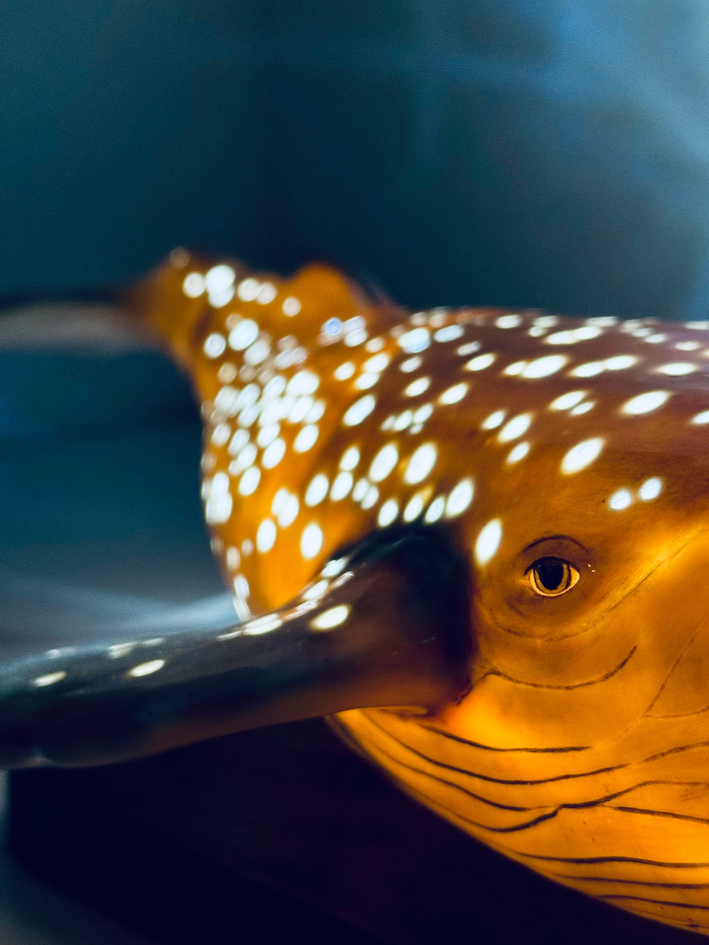 Whale Lamp