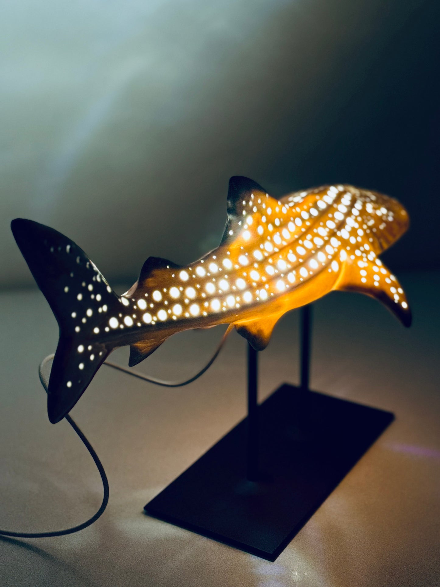 Shark Lamp