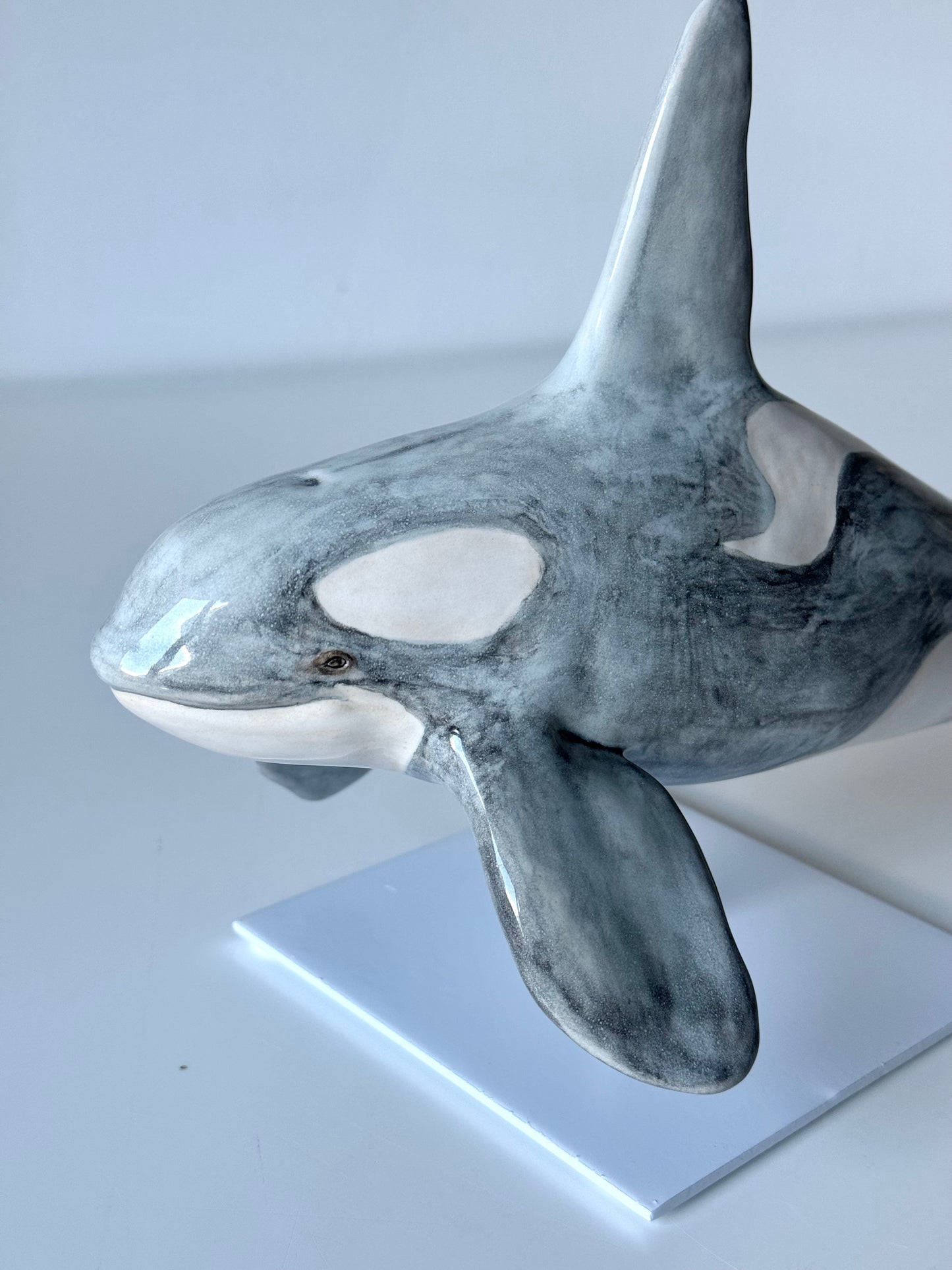 Albino Orca on a stand