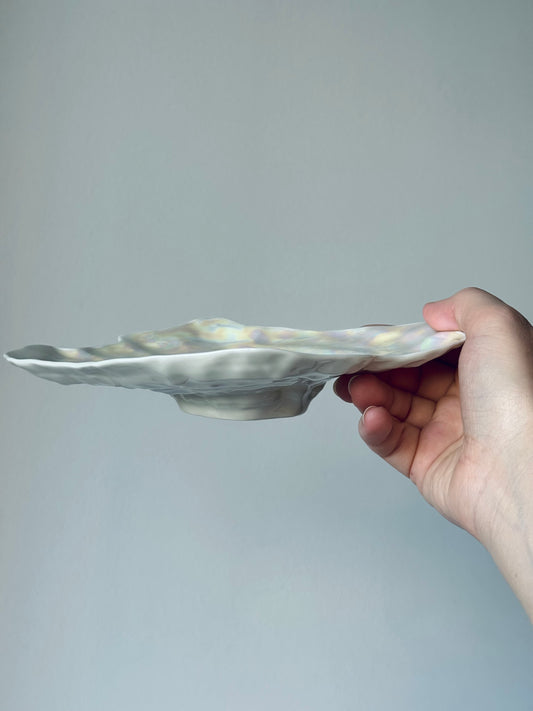 Shell-shaped plate